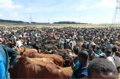 Etiopia.